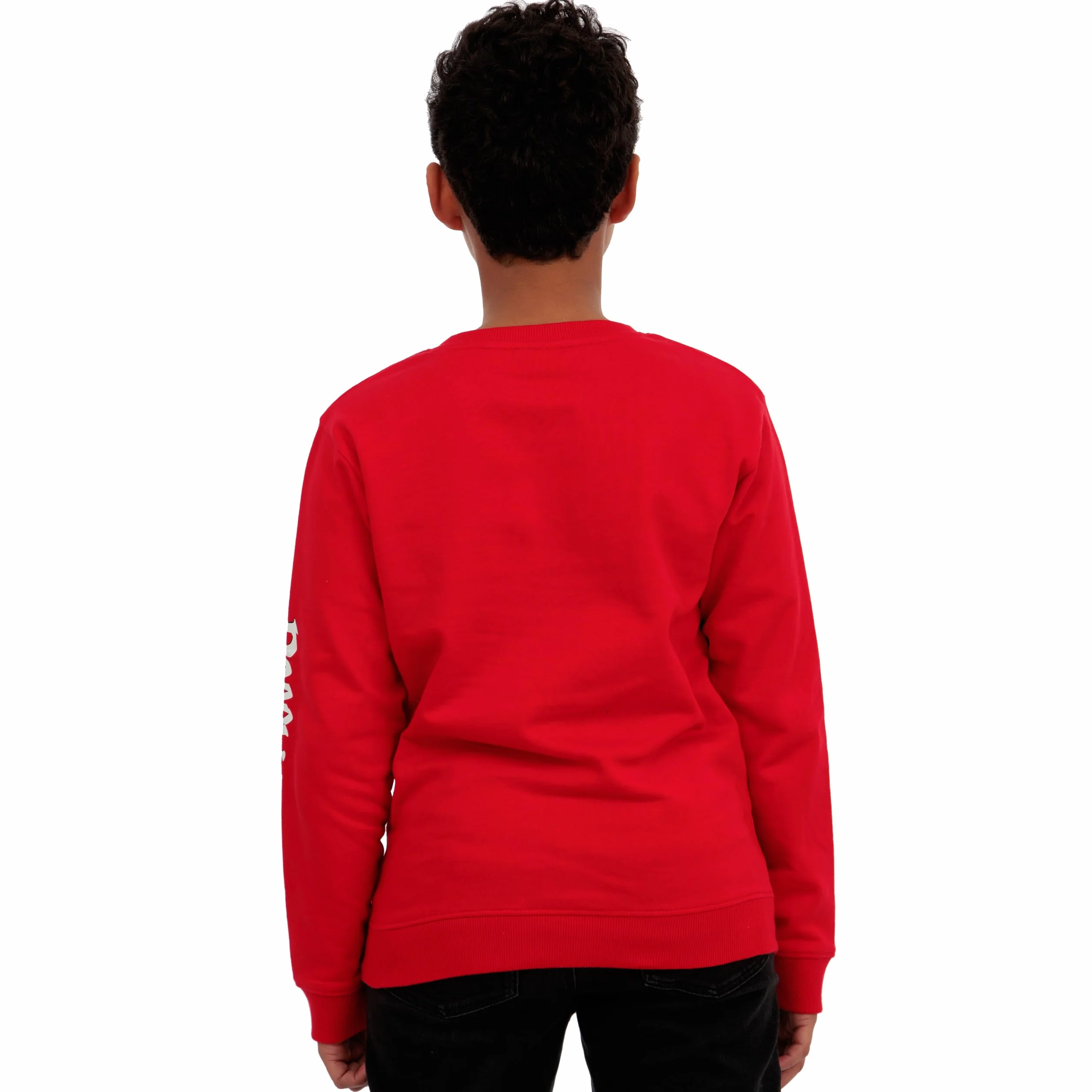 Poppy Playtime Sudadera Niño, Sudaderas Niños De Huggy Wuggy, Ropa Niños De Algodón para Gamers
