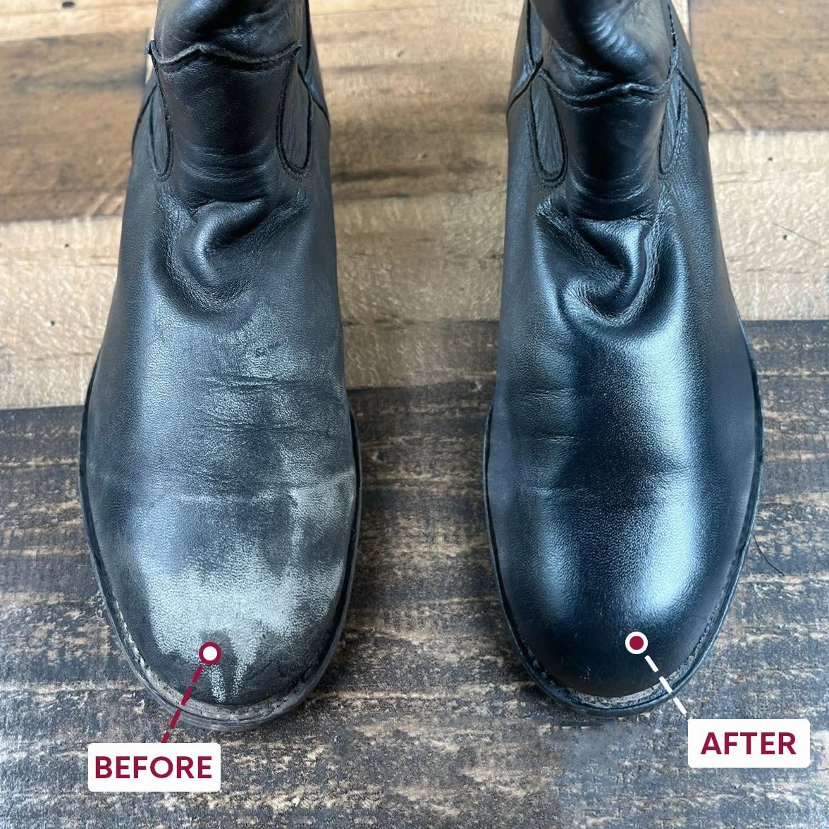 Tarrago Shoe Cream – Betún para Zapatos de Cuero y Piel 50ml | Crema Zapatos Nutritiva con Cera de Abeja y Carnauba | Alta Cobertura y Brillo | Incloloro (0)
